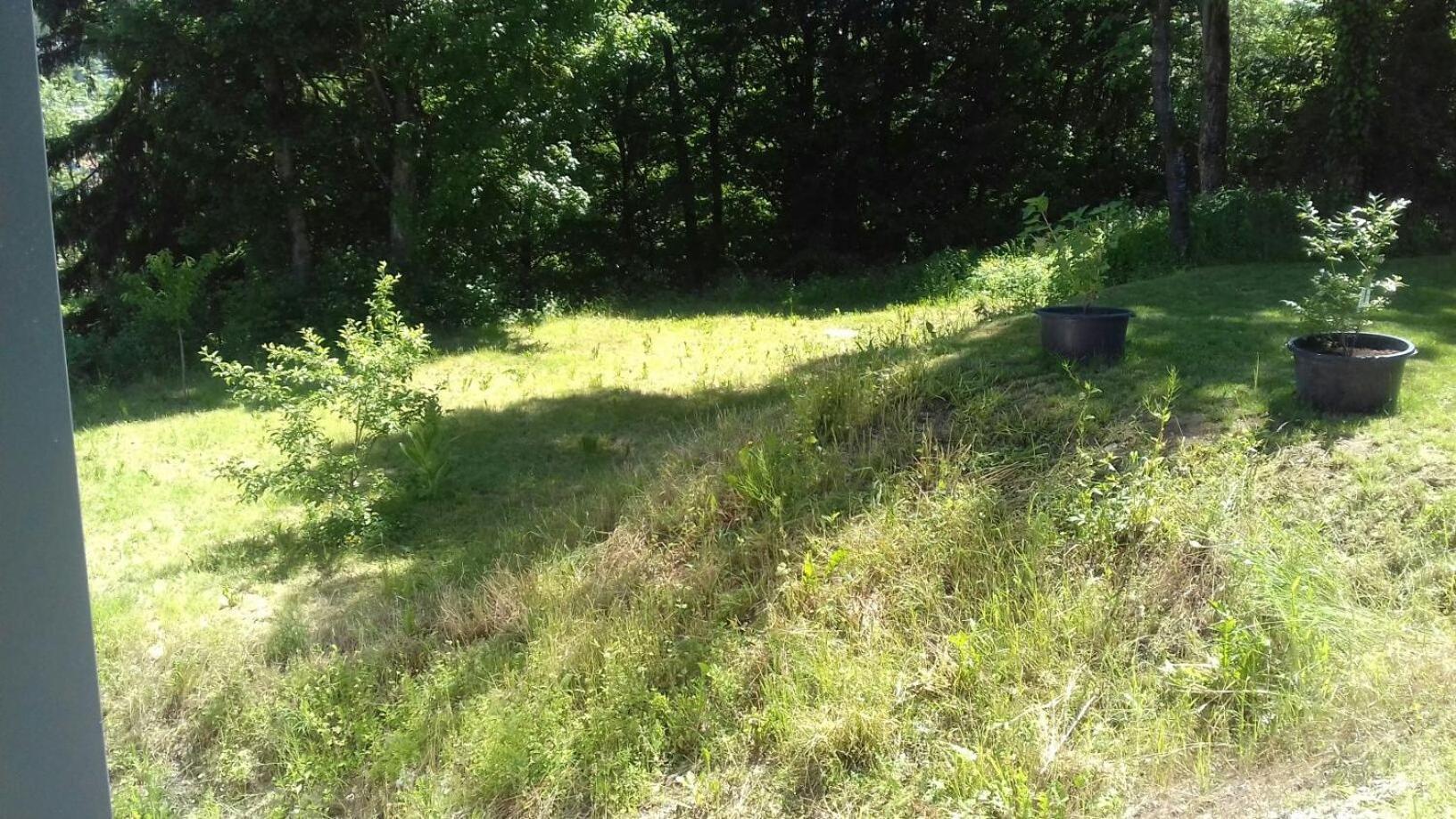 Ferienwohnung Ameis Heiligenstadt in Oberfranken Eksteriør bilde